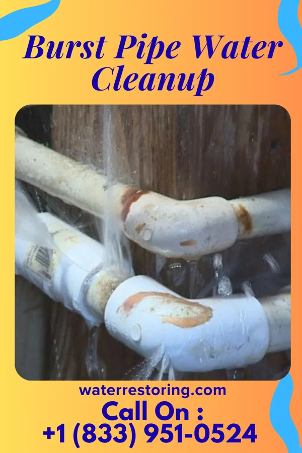 Burst Pipe Water Cleanup in Eatontown, NJ