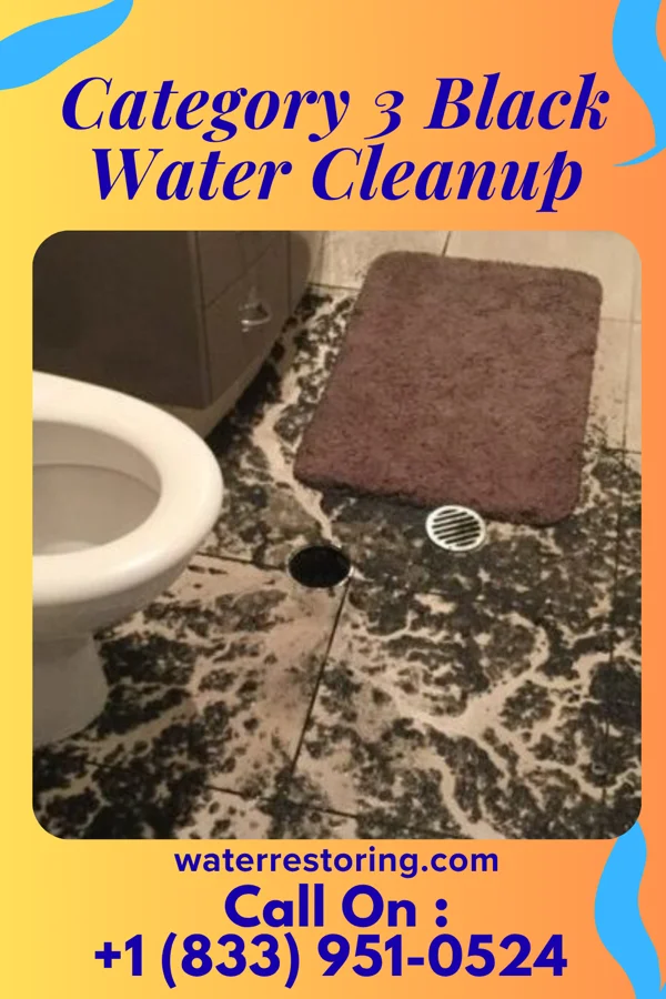 Category 3 Black Water Cleanup in Eatontown, NJ